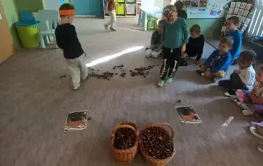 557247154_1379102780891970_8206265095776614969_n