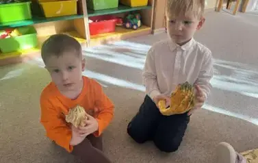 Dzień Dyni 13