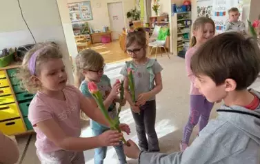 Chłopiec wręcza tulipany koleżankom z grupy