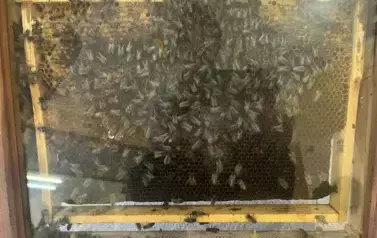 487421309_1207251931410390_4702693657136613651_n