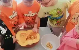 Dzień Dyni 8