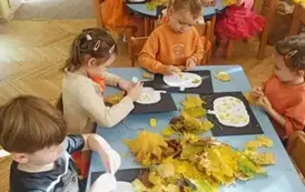 Dzień Dyni 14