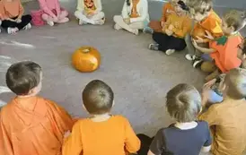 Dzień Dyni 17