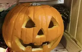 Dzień Dyni 40