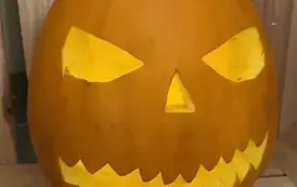Dzień Dyni 42