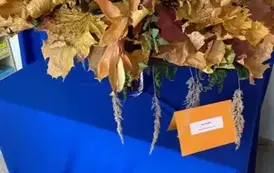 577429133_2397393687325245_9068936519470317739_n