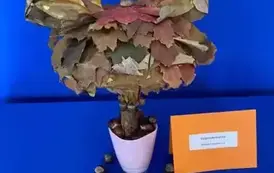 575830235_1235132091709029_4088377861115807706_n