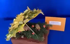 568240189_807943122022593_4454747665489700034_n