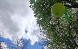 Niebo, drzewa i balon