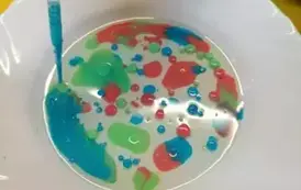 479083352_2356663658026071_6369456266339066220_n